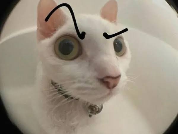 condições