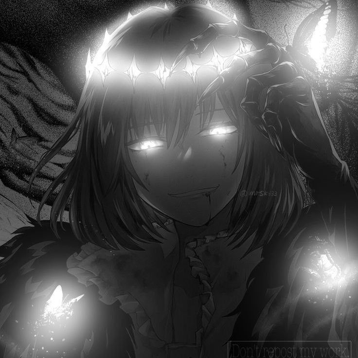 Echo of the Stars 